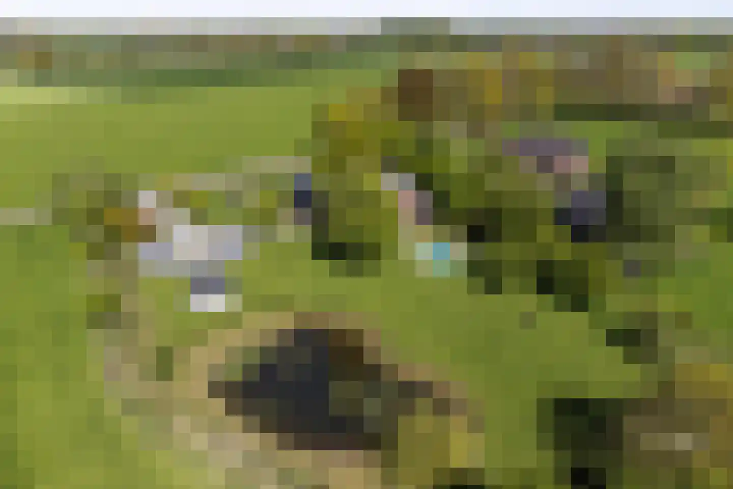 Schalmedenweg 17 Hengelo thumbnail 56
