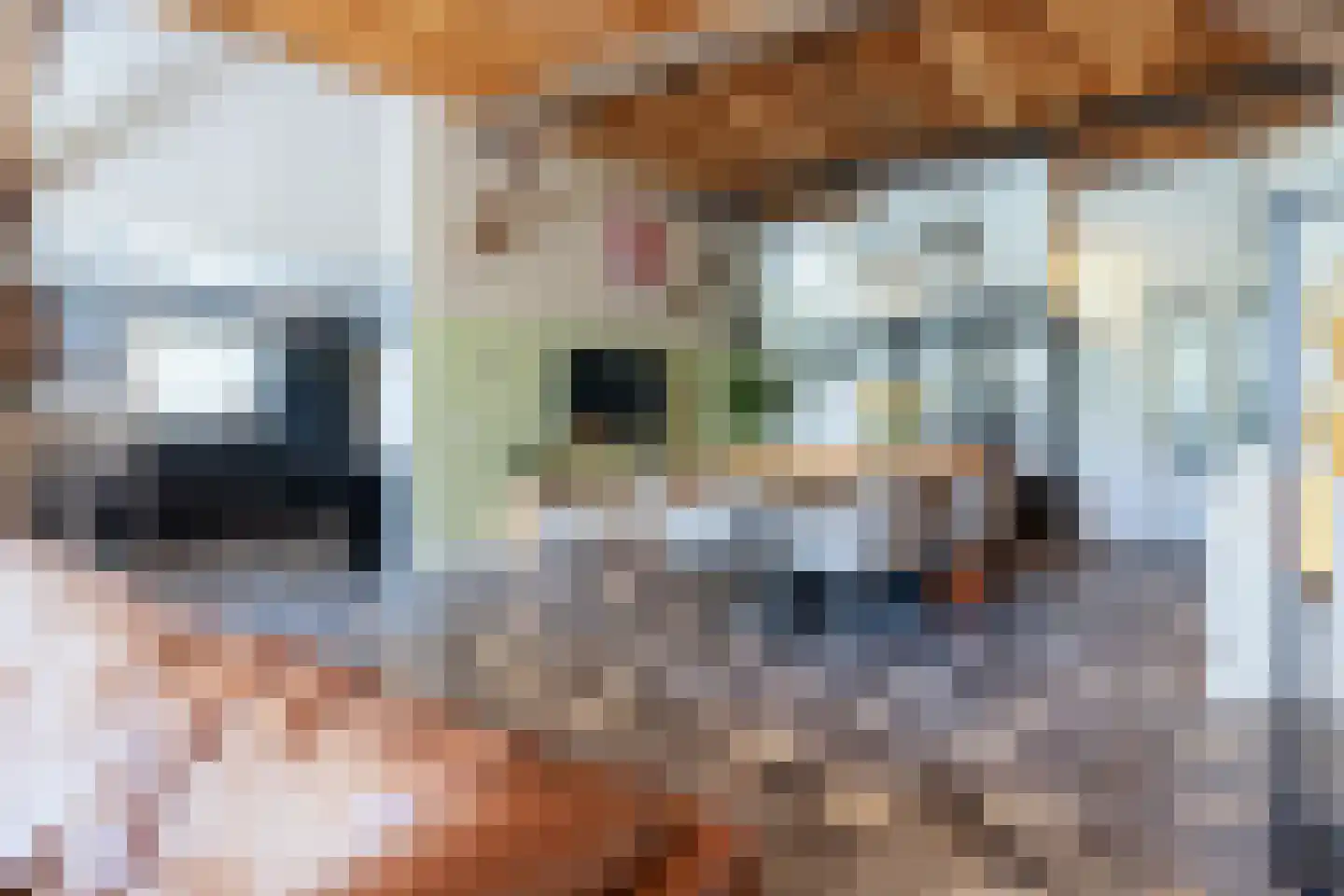 Schalmedenweg 17 Hengelo thumbnail 6