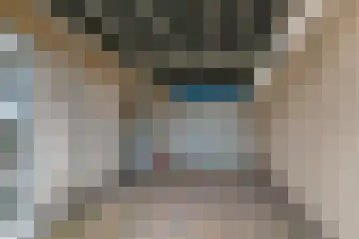 Schalmei 11 Zevenaar thumbnail 13