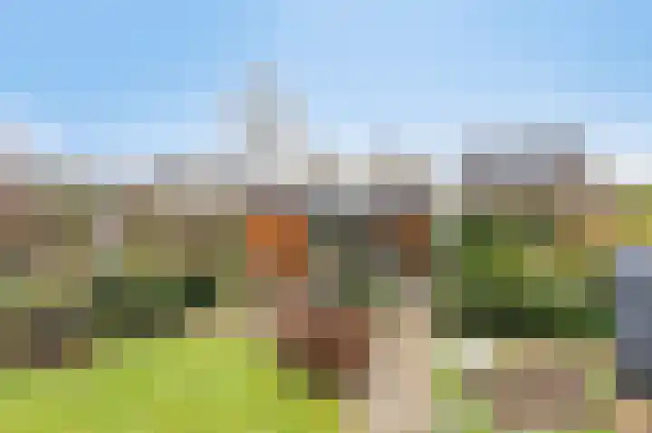 Schalmei 11 Zevenaar thumbnail 52
