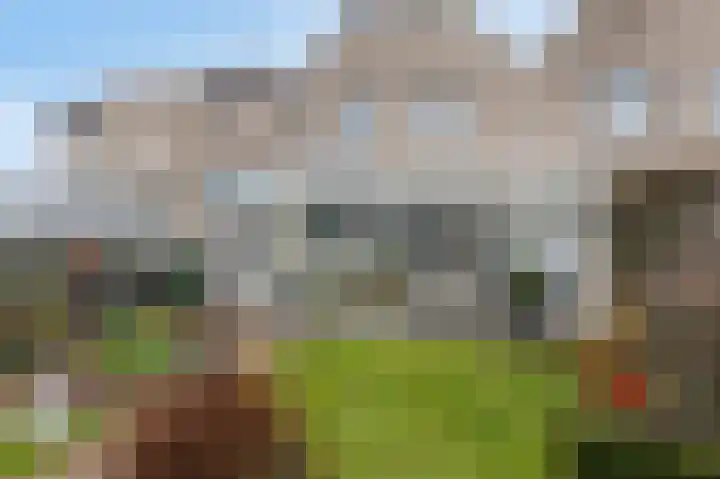 Schalmei 11 Zevenaar thumbnail 59