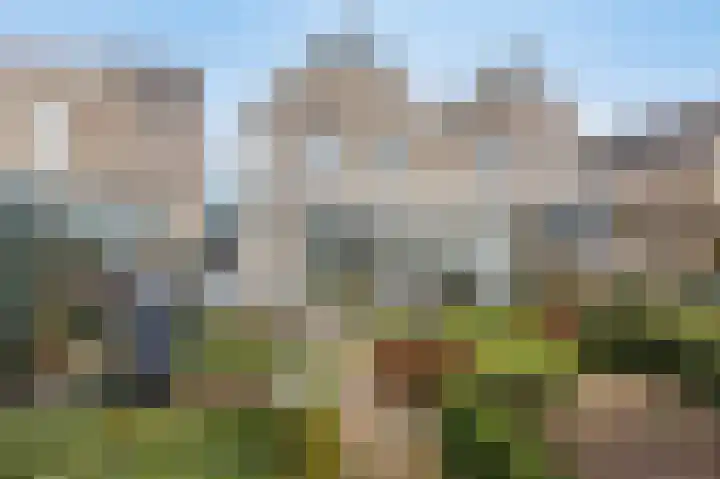 Schalmei 11 Zevenaar thumbnail 60