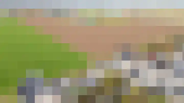 Schalmei 11 Zevenaar thumbnail 7