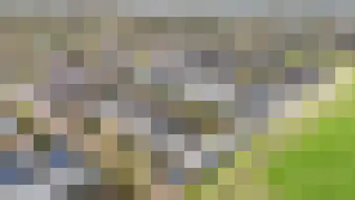 Schalmei 11 Zevenaar thumbnail 8