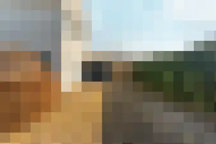 Schalmei 2 Zevenaar thumbnail 30