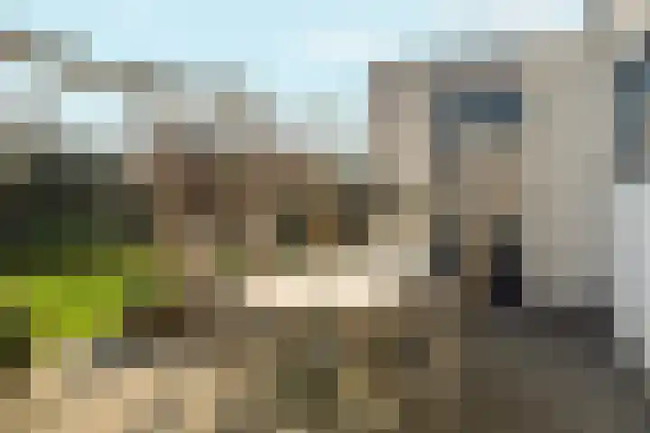 Schalmei 2 Zevenaar thumbnail 33