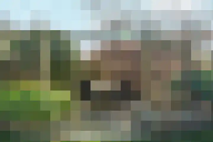 Schalmei 2 Zevenaar thumbnail 35