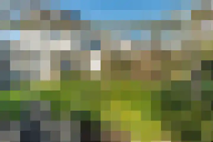 Schalmei 2 Zevenaar thumbnail 36