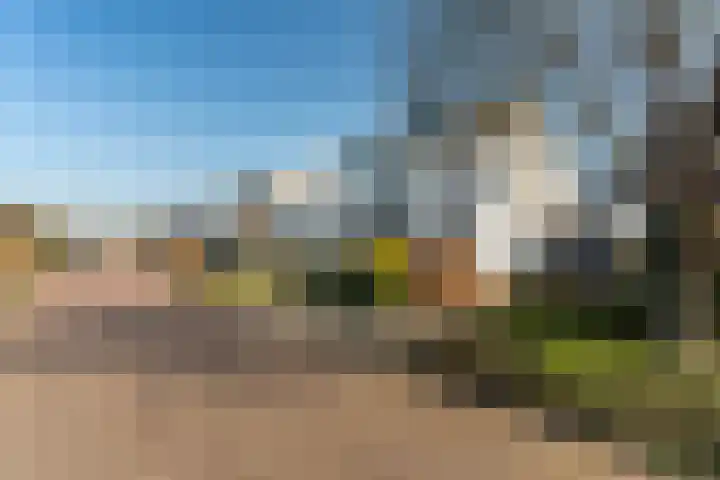 Schalmei 2 Zevenaar thumbnail 37