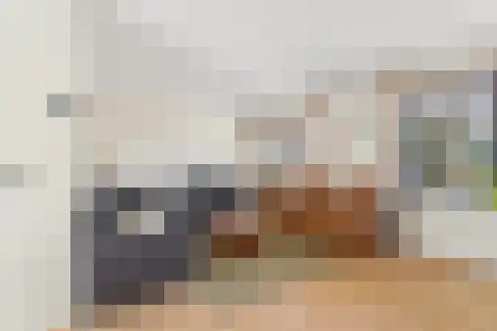 Schalmei 2 Zevenaar thumbnail 4