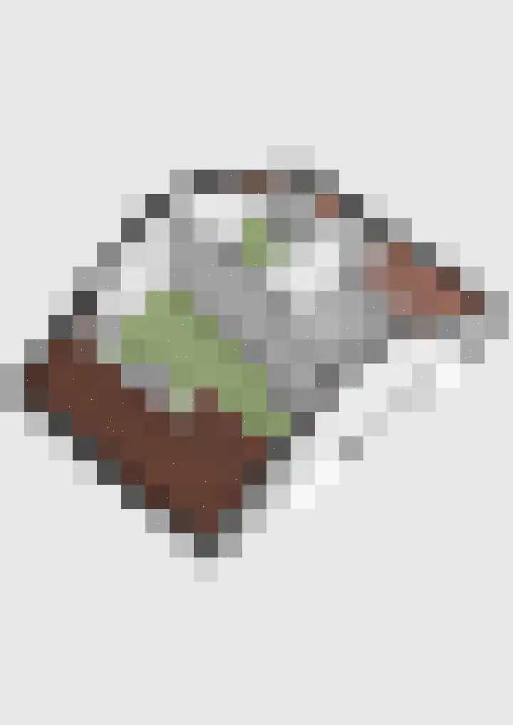 Schalmei 2 Zevenaar thumbnail 43