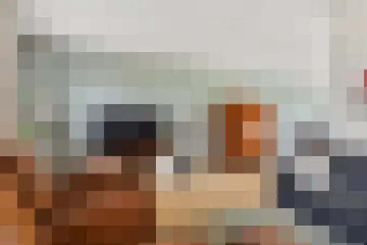 Schalmei 2 Zevenaar thumbnail 8