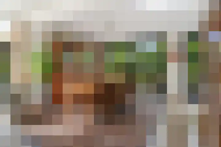 Schalmei 39 Etten-Leur thumbnail 13