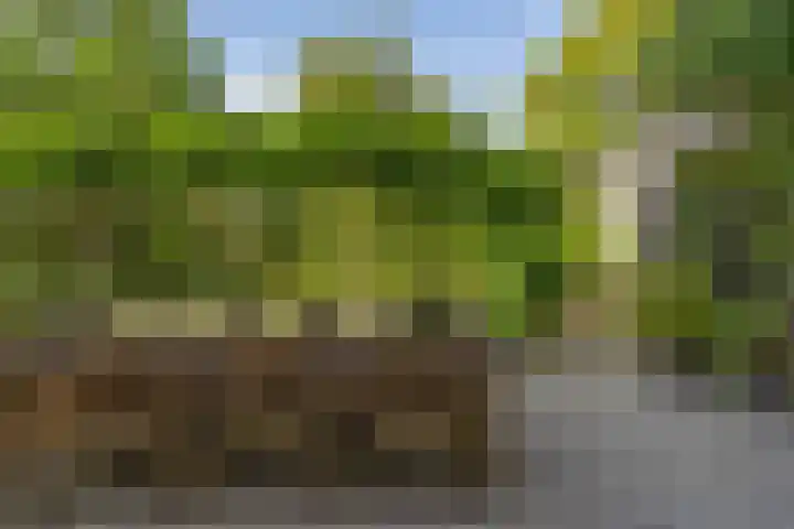 Schalmei 39 Etten-Leur thumbnail 46