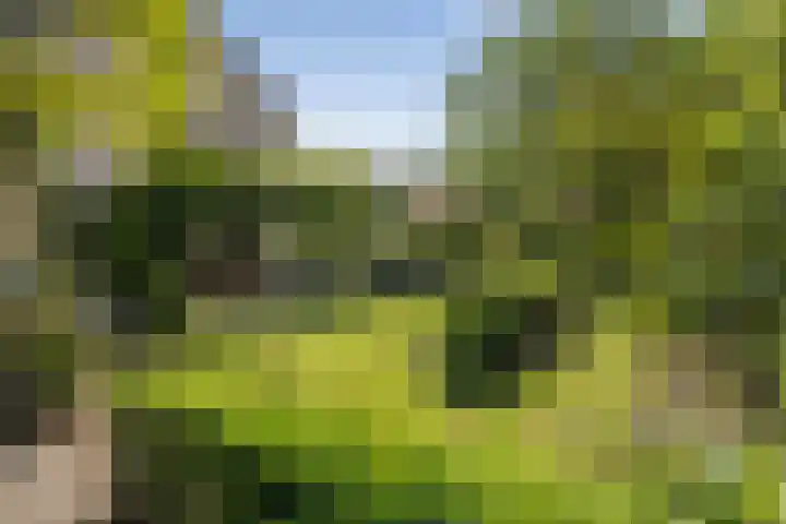 Schalmei 39 Etten-Leur thumbnail 48