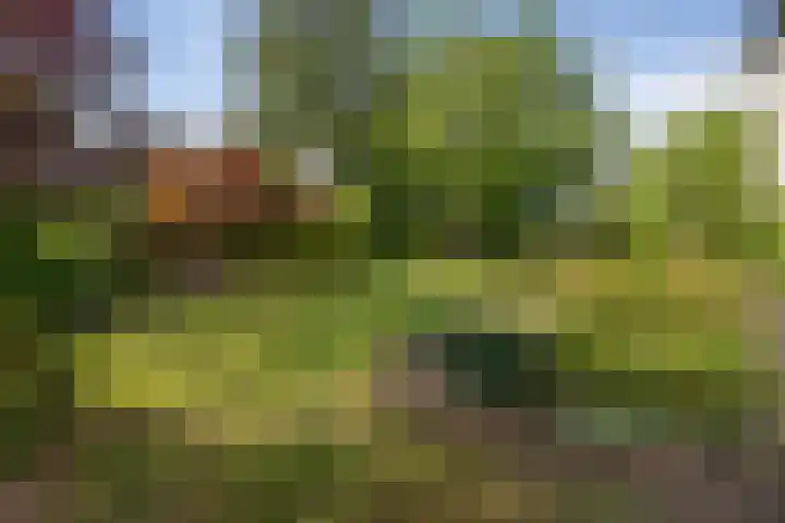 Schalmei 39 Etten-Leur thumbnail 56