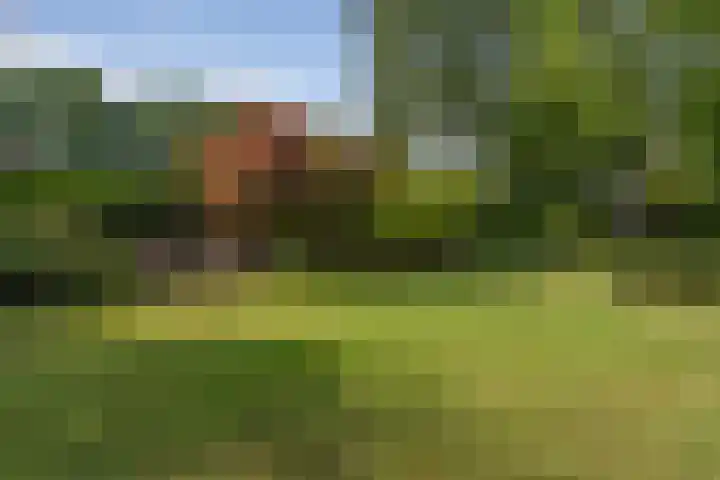Schalmei 39 Etten-Leur thumbnail 57