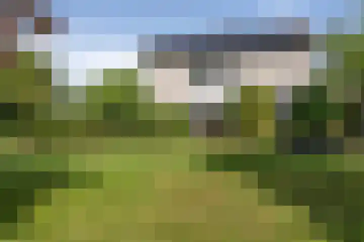 Schalmei 39 Etten-Leur thumbnail 58