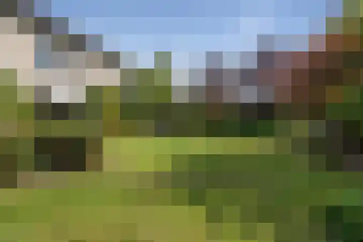 Schalmei 39 Etten-Leur thumbnail 59