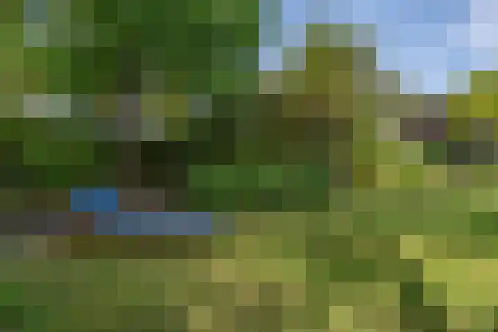 Schalmei 39 Etten-Leur thumbnail 60