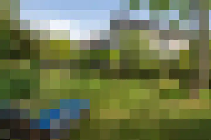 Schalmei 39 Etten-Leur thumbnail 61
