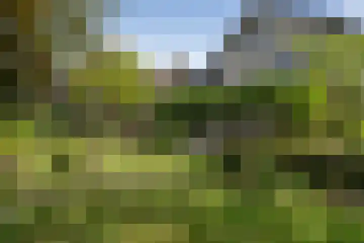 Schalmei 39 Etten-Leur thumbnail 62