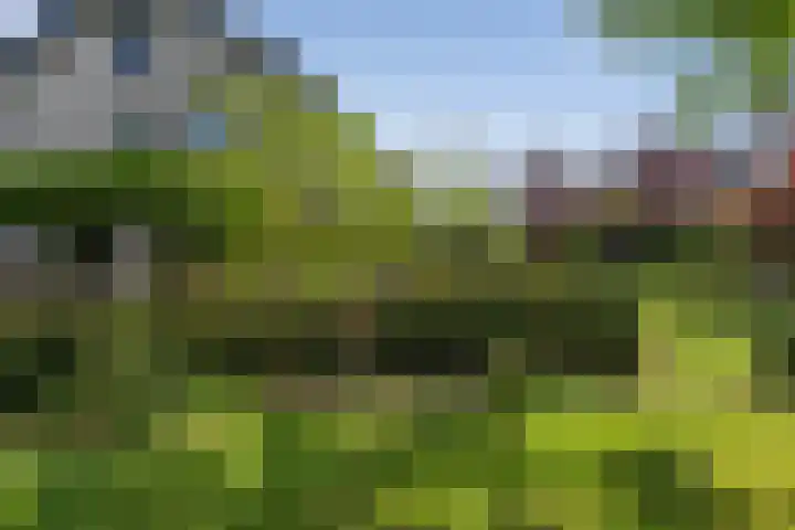 Schalmei 39 Etten-Leur thumbnail 63