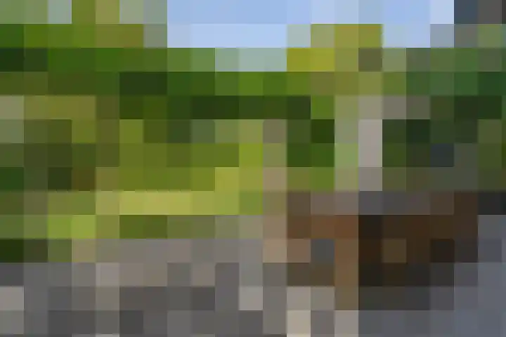 Schalmei 39 Etten-Leur thumbnail 64