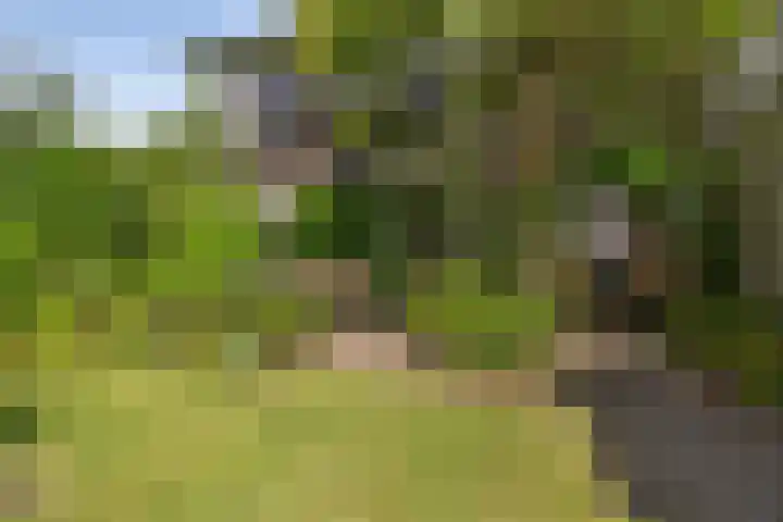 Schalmei 39 Etten-Leur thumbnail 65