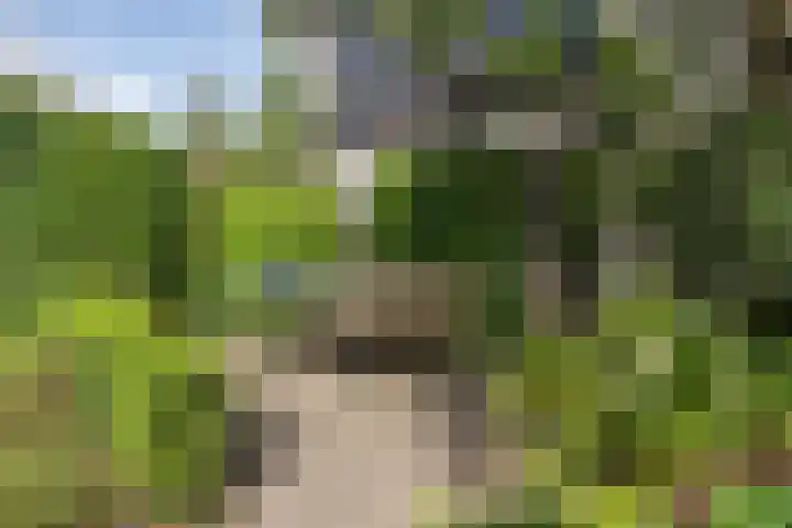 Schalmei 39 Etten-Leur thumbnail 66