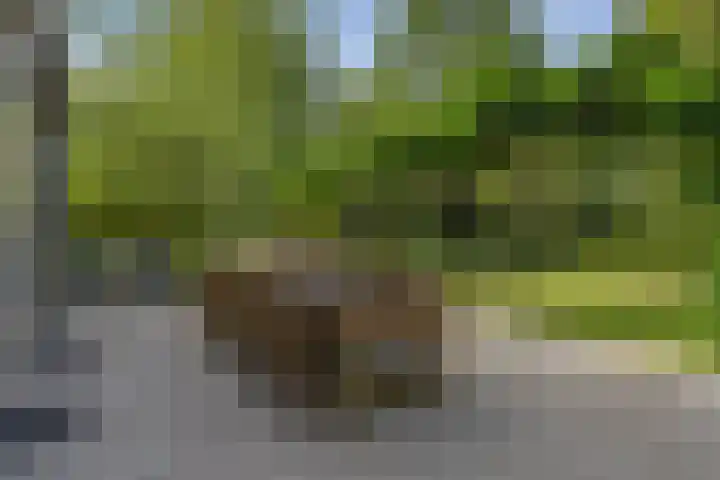 Schalmei 39 Etten-Leur thumbnail 68