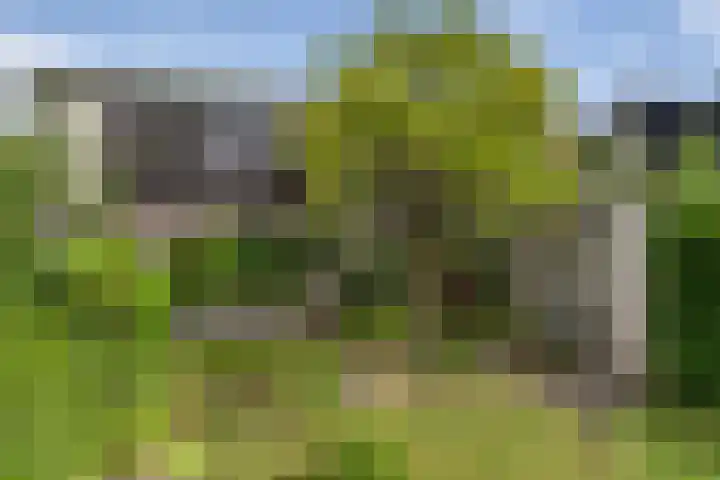 Schalmei 39 Etten-Leur thumbnail 70