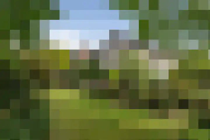 Schalmei 39 Etten-Leur thumbnail 71