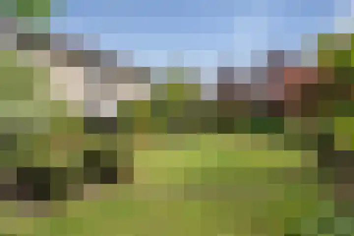 Schalmei 39 Etten-Leur thumbnail 72