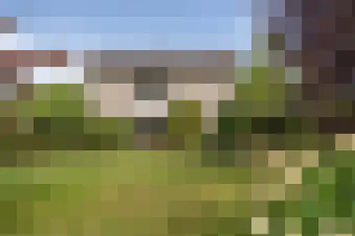 Schalmei 39 Etten-Leur thumbnail 73