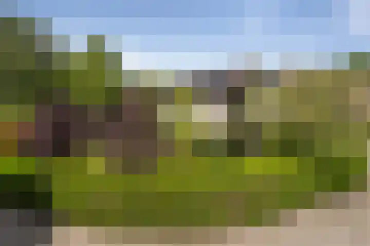 Schalmei 39 Etten-Leur thumbnail 76