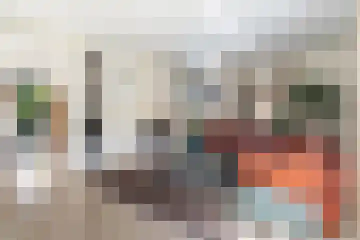 Schalmei 39 Etten-Leur thumbnail 9