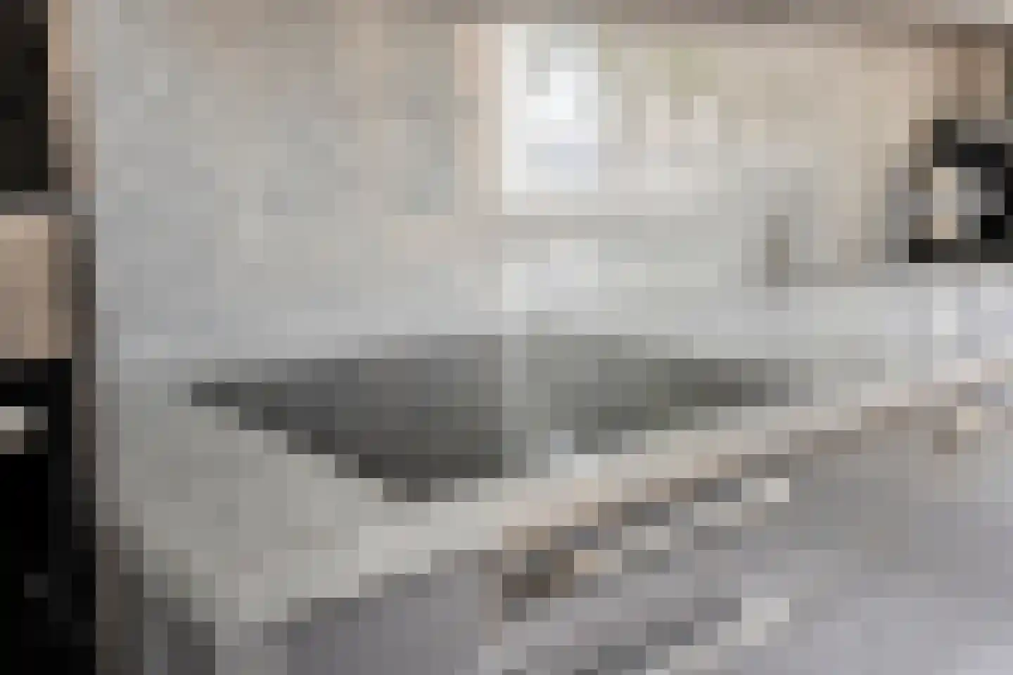 Schalmei 74 Rotterdam thumbnail 16