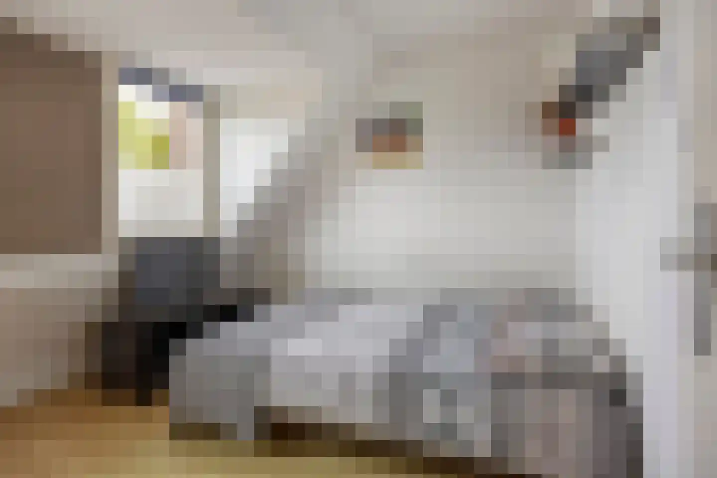 Schalmei 74 Rotterdam thumbnail 33
