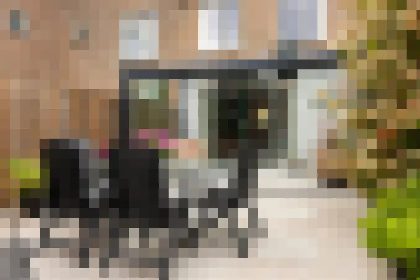 Schalmei 74 Rotterdam thumbnail 38