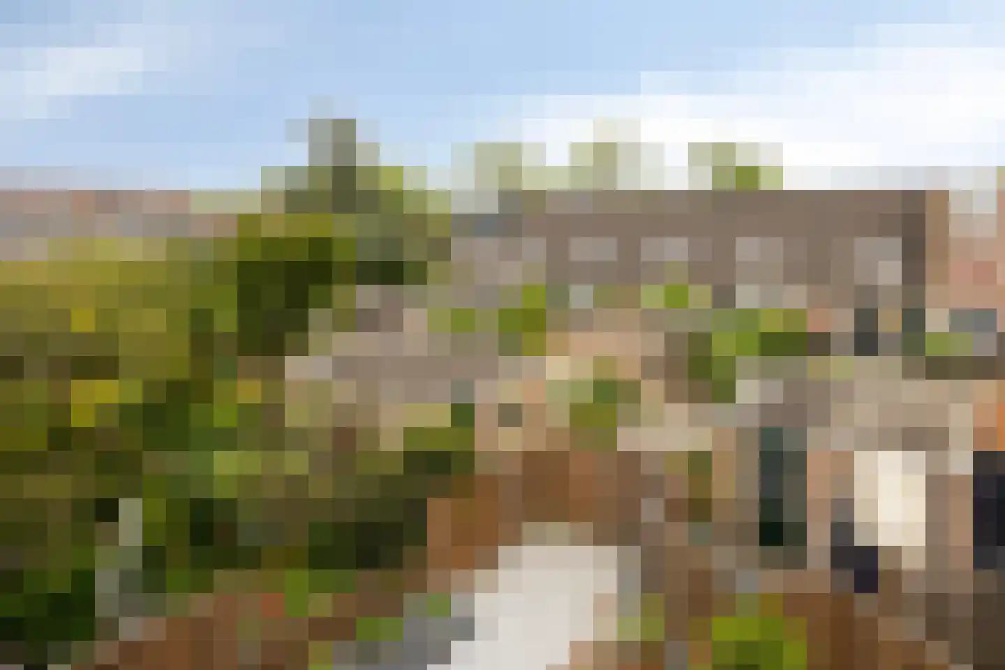 Schalmei 74 Rotterdam thumbnail 39