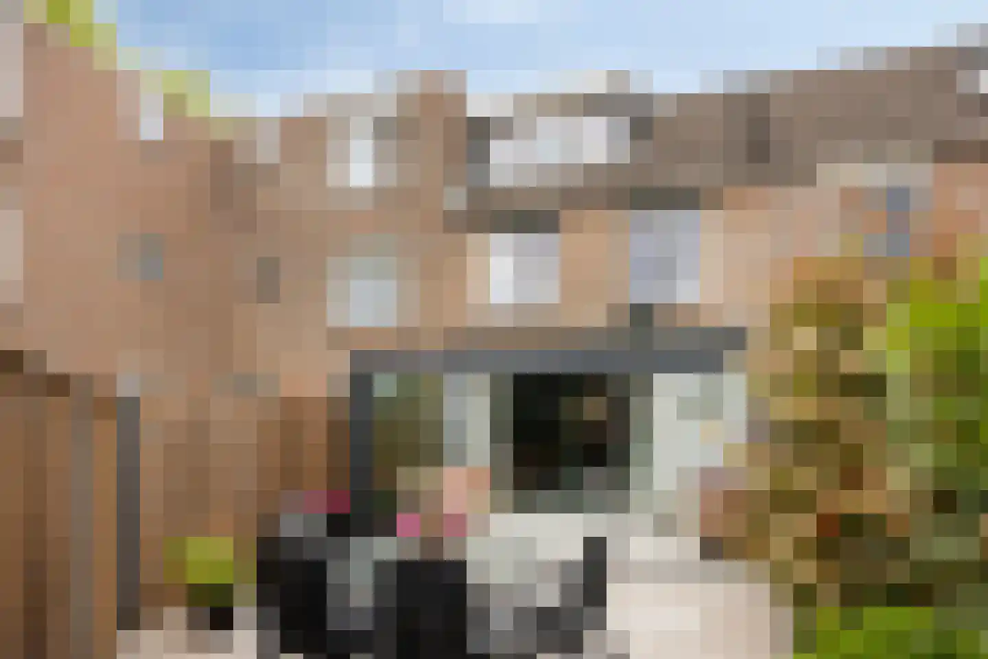 Schalmei 74 Rotterdam thumbnail 4