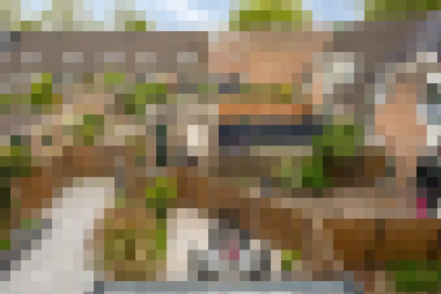Schalmei 74 Rotterdam thumbnail 40