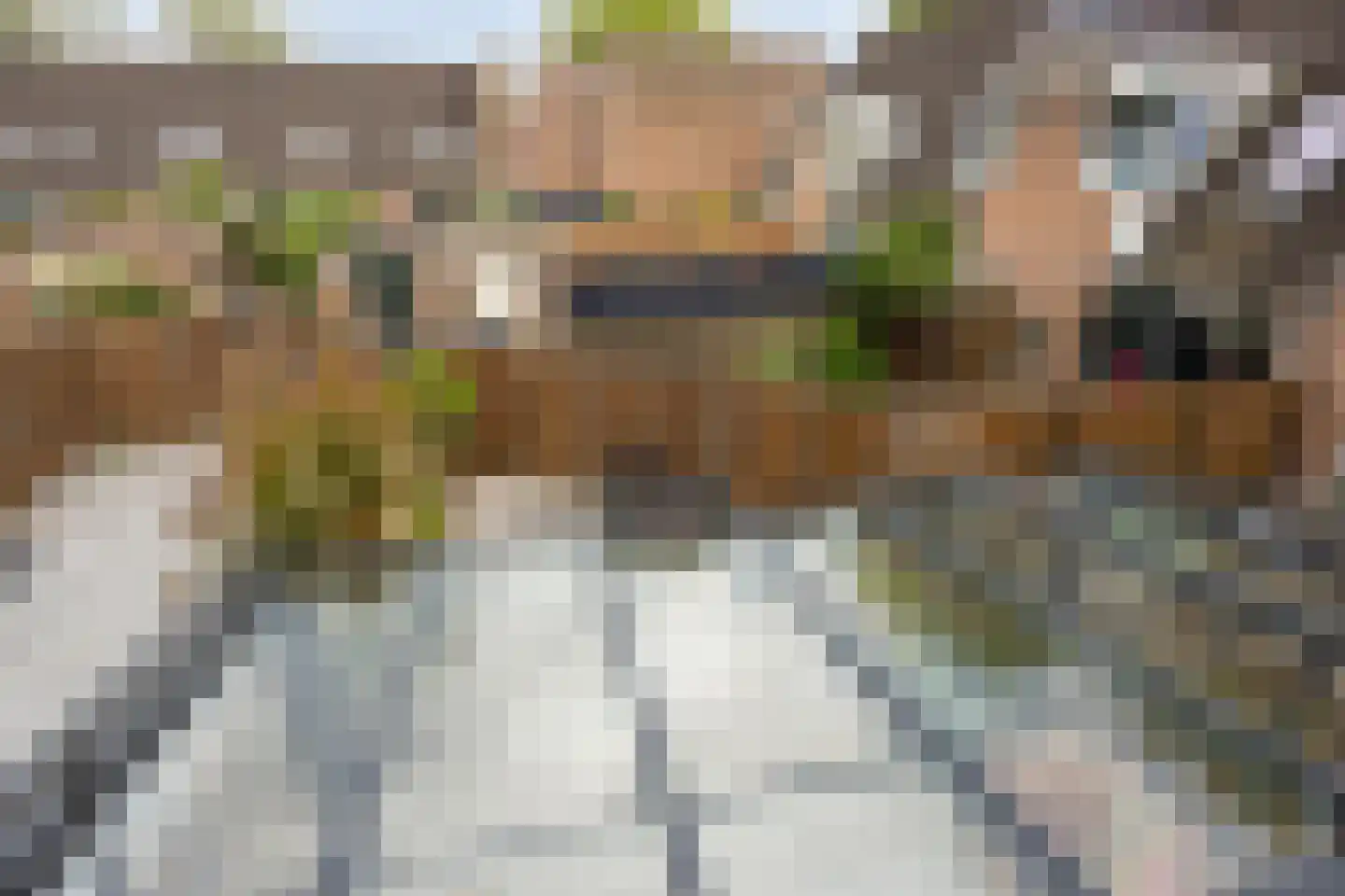 Schalmei 74 Rotterdam thumbnail 41