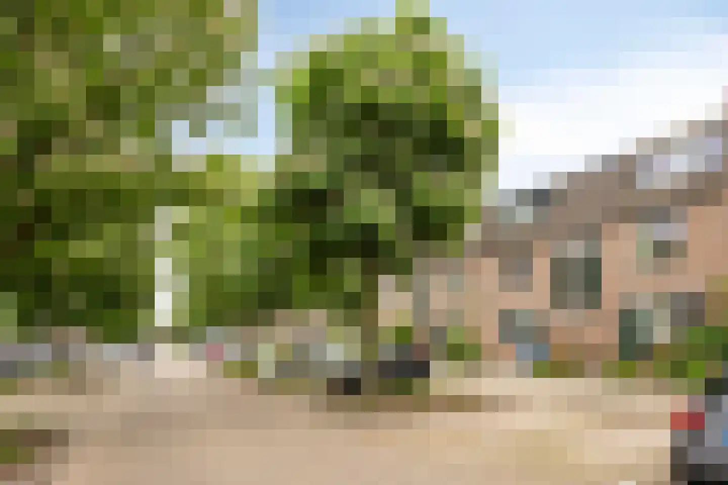 Schalmei 74 Rotterdam thumbnail 5