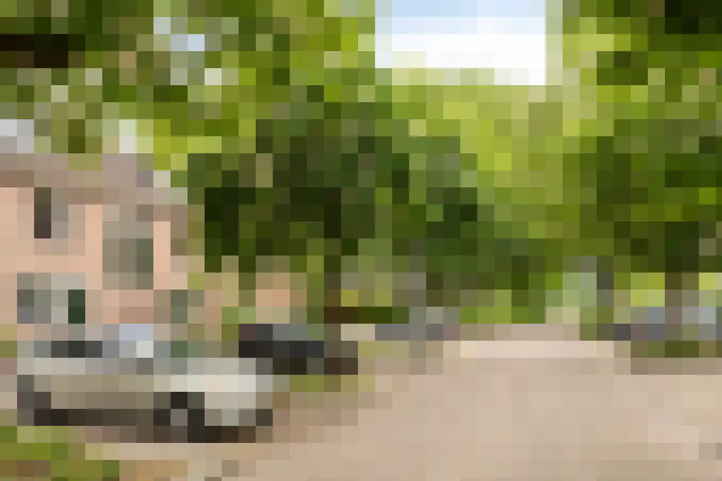 Schalmei 74 Rotterdam thumbnail 7