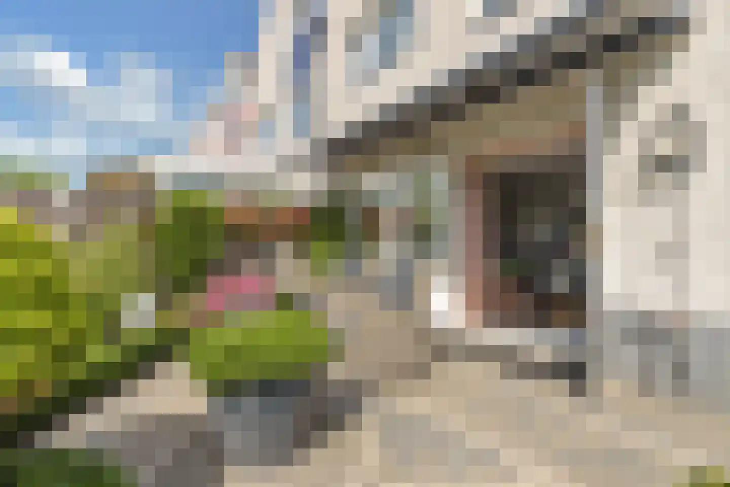 Schalmeistraat 14 Almere thumbnail 43