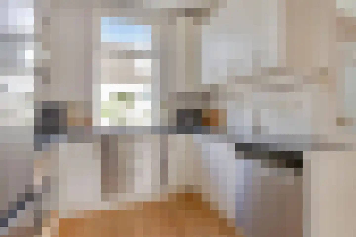 Schalmstraat 23 Eindhoven thumbnail 15