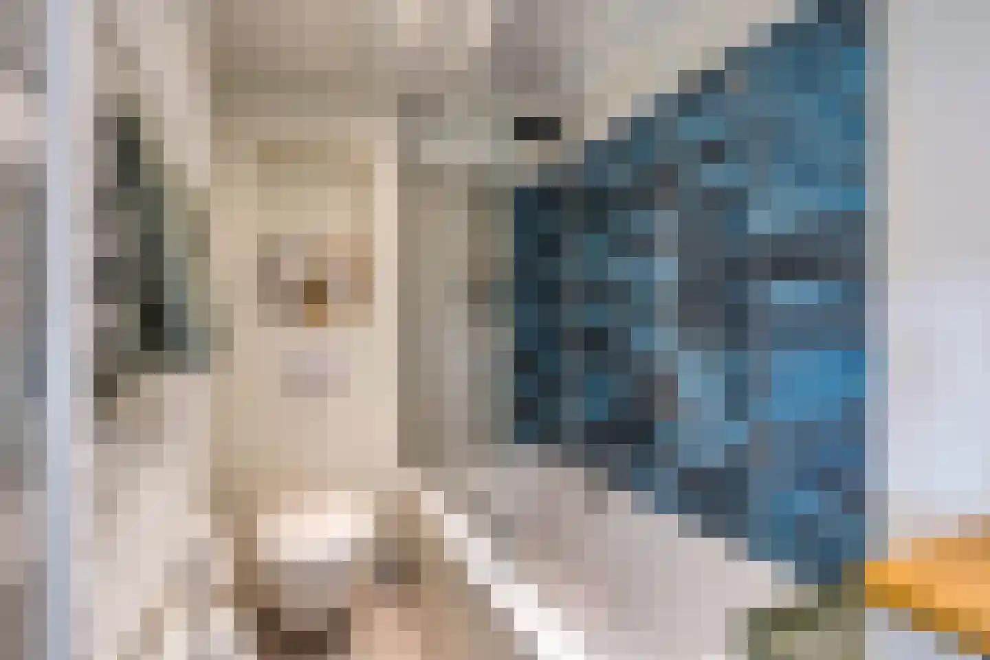 Schalmstraat 23 Eindhoven thumbnail 17