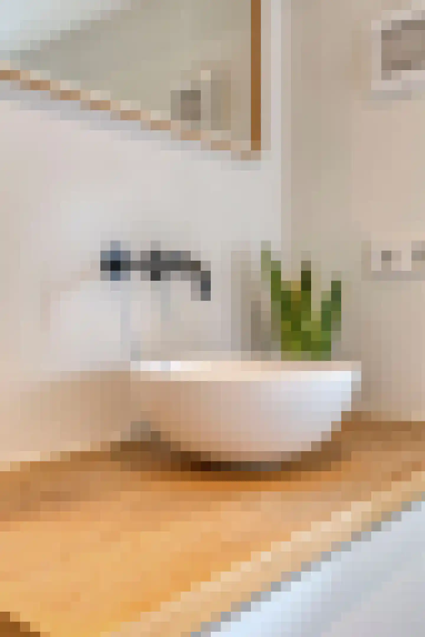 Schalmstraat 23 Eindhoven thumbnail 18